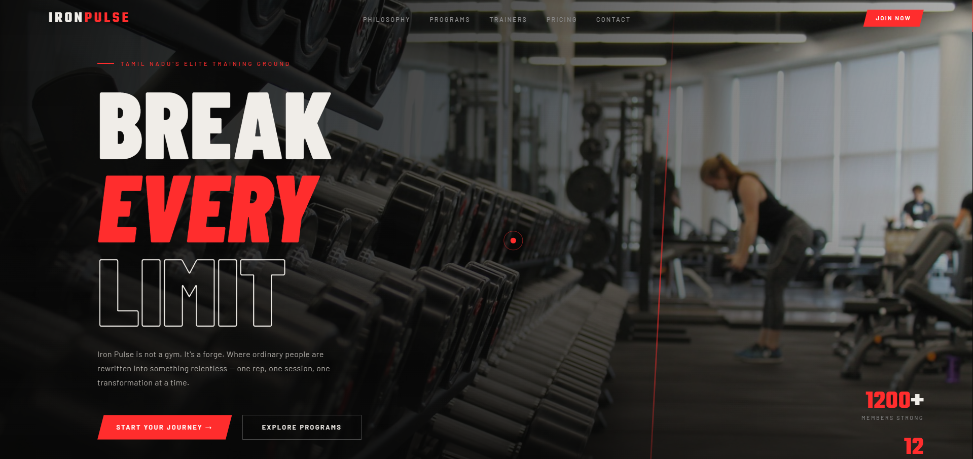 Iron Pulse project screenshot